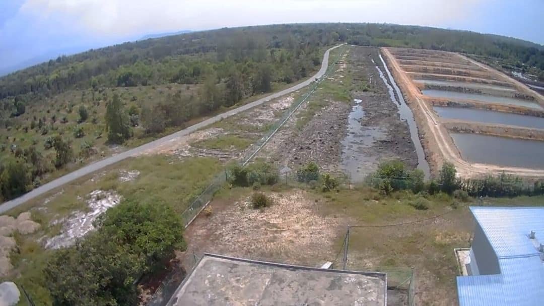 Hatchery Limau Nipis