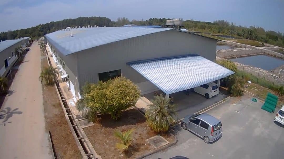 Hatchery Limau Nipis