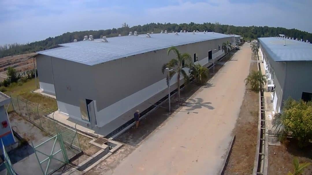 Hatchery Limau Nipis